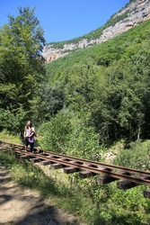 Resize of KIMG_0063.JPG