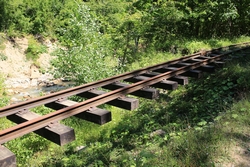 Resize of KIMG_0067.JPG