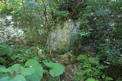 Resize of KIMG_0085.JPG
