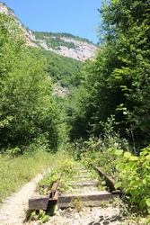 Resize of KIMG_0098.JPG