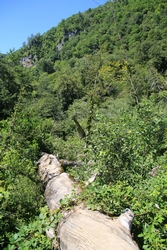 Resize of KIMG_0106.JPG