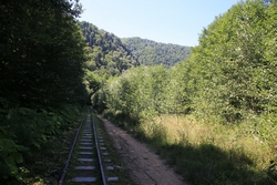 Resize of KIMG_0128.JPG