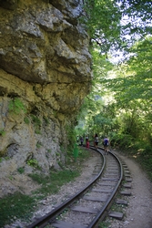 Resize of KIMG_0130.JPG