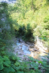 Resize of KIMG_0144.JPG
