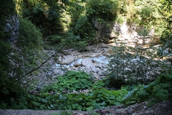 Resize of KIMG_0146.JPG