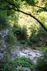 Resize of KIMG_0148.JPG