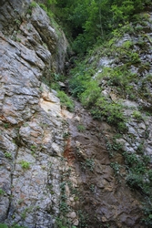Resize of KIMG_0150.JPG