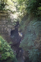 Resize of KIMG_0159.JPG