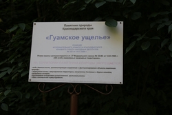 Resize of KIMG_0176.JPG