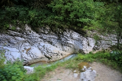 Resize of KIMG_0216.JPG