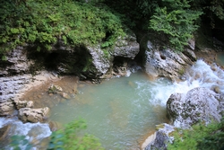 Resize of KIMG_0217.JPG