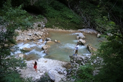 Resize of KIMG_0222.JPG
