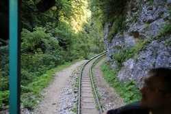 Resize of KIMG_0227.JPG
