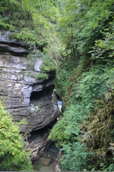 Resize of KIMG_0243.JPG