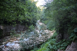 Resize of KIMG_0281.JPG