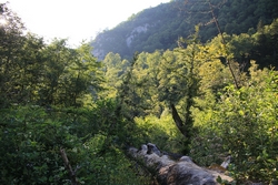 Resize of KIMG_0298.JPG