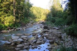 Resize of KIMG_0305.JPG
