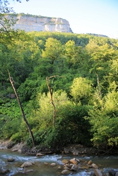 Resize of KIMG_0307.JPG