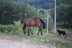 Resize of KIMG_0318.JPG