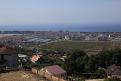 Resize of KIMG_0336.JPG