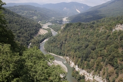 Resize of KIMG_0446.JPG