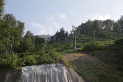 Resize of KIMG_0589.JPG