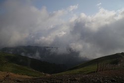 Resize of KIMG_0620.JPG