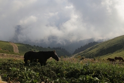 Resize of KIMG_0643.JPG