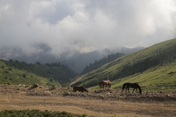Resize of KIMG_0647.JPG