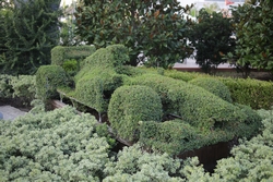 Resize of KIMG_0812.JPG