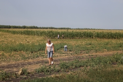 Resize of KIMG_1039.JPG