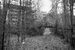 Resize of IMG_1928.JPG