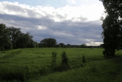 Resize of IMG_9484.JPG